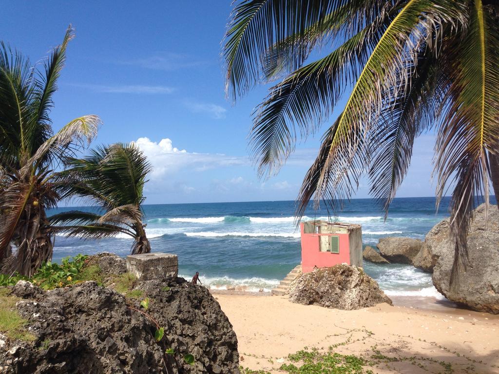 Eco Lifestyle And Lodge Bathsheba Ngoại thất bức ảnh