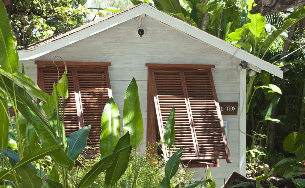 Eco Lifestyle And Lodge Bathsheba Ngoại thất bức ảnh