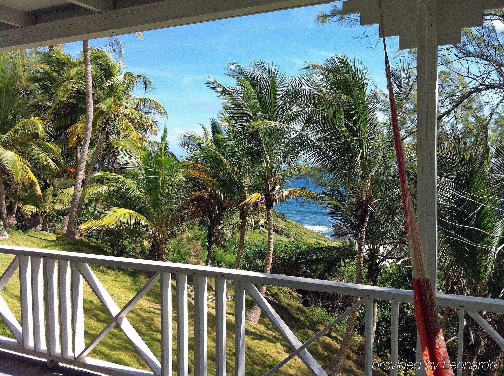 Eco Lifestyle And Lodge Bathsheba Ngoại thất bức ảnh