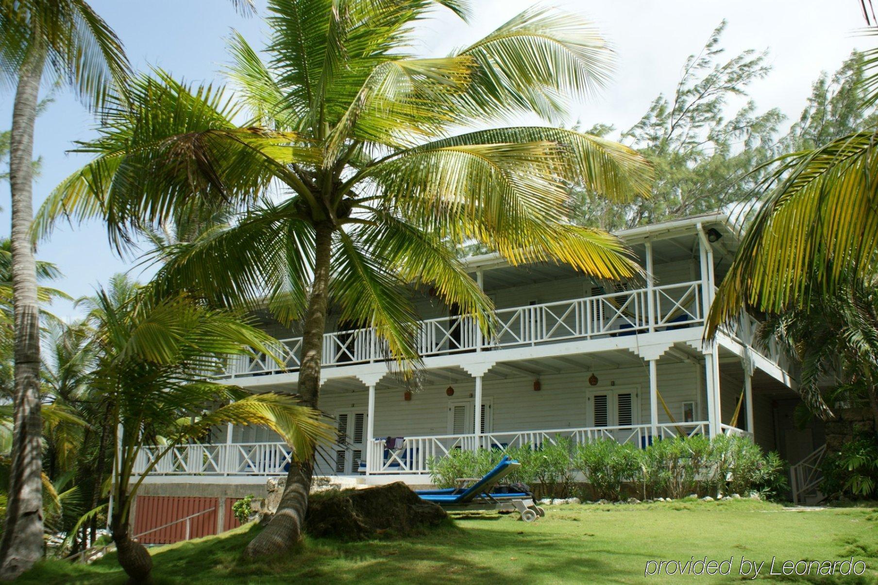 Eco Lifestyle And Lodge Bathsheba Ngoại thất bức ảnh