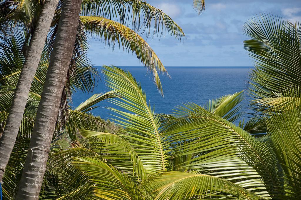 Eco Lifestyle And Lodge Bathsheba Ngoại thất bức ảnh