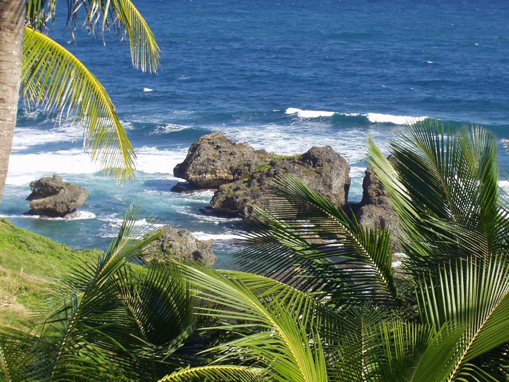 Eco Lifestyle And Lodge Bathsheba Ngoại thất bức ảnh