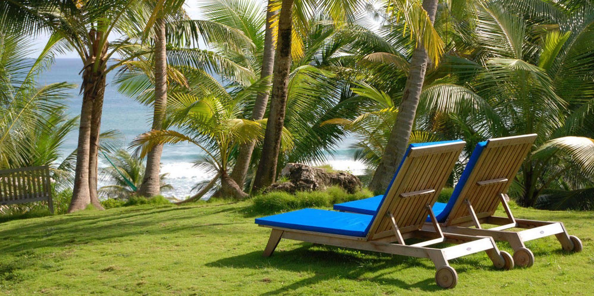 Eco Lifestyle And Lodge Bathsheba Ngoại thất bức ảnh