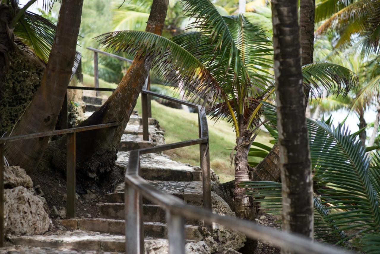 Eco Lifestyle And Lodge Bathsheba Ngoại thất bức ảnh