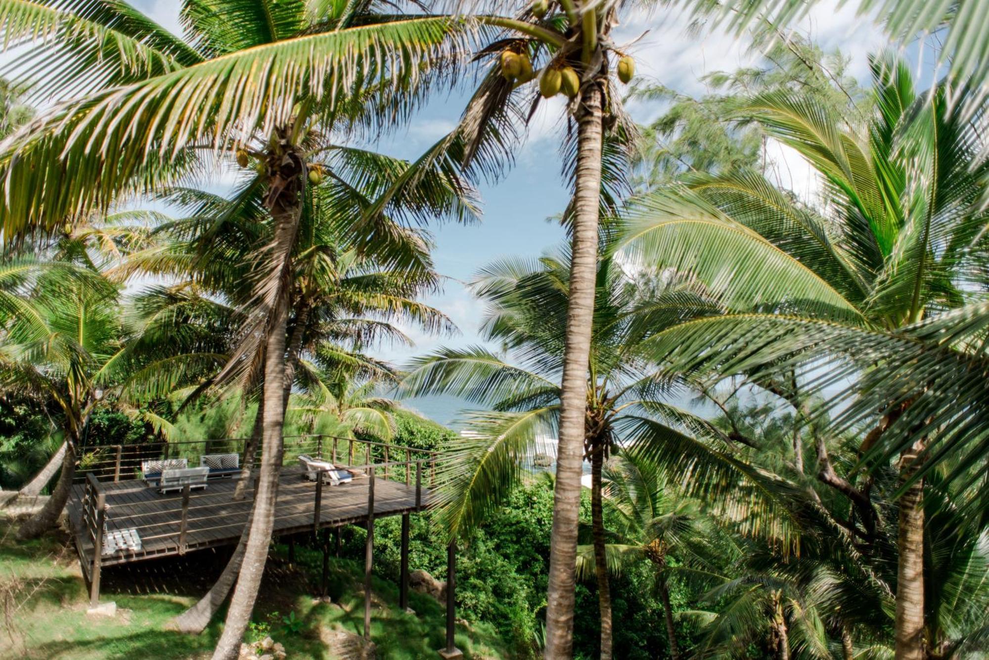 Eco Lifestyle And Lodge Bathsheba Ngoại thất bức ảnh